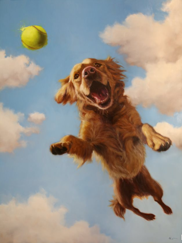 Fetch