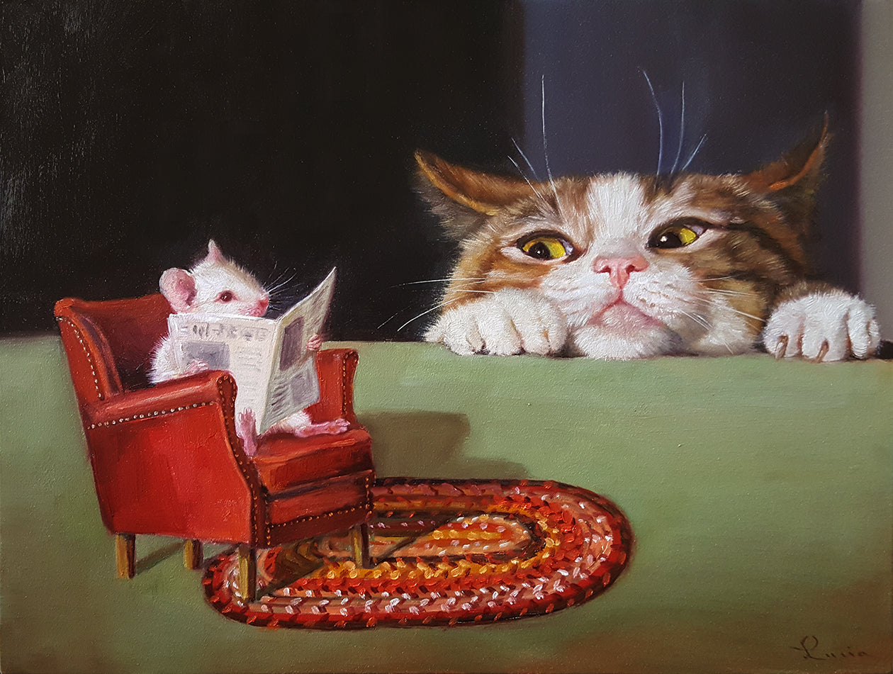 Cool Cool Kitties
