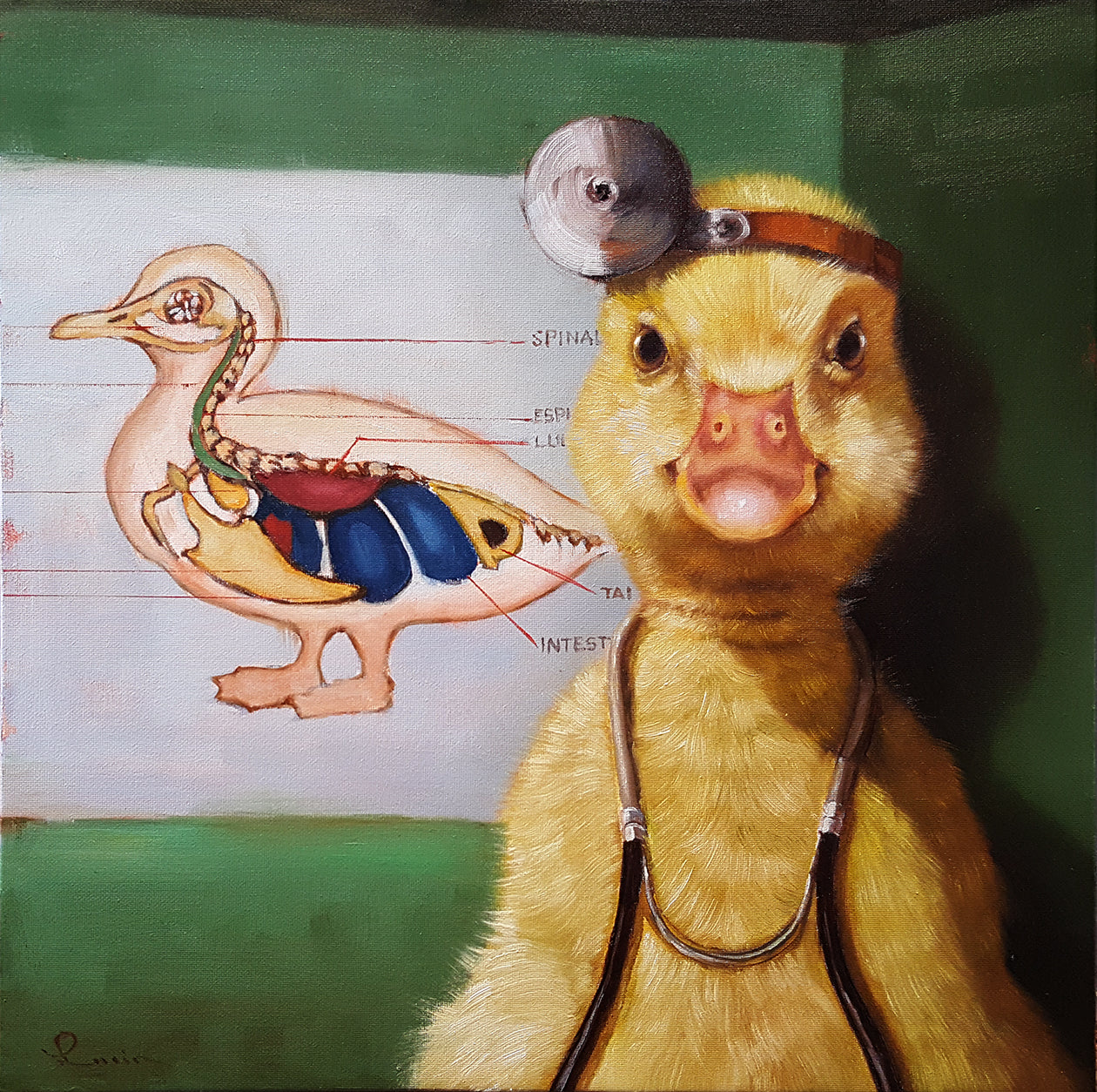 Geese and Quackers