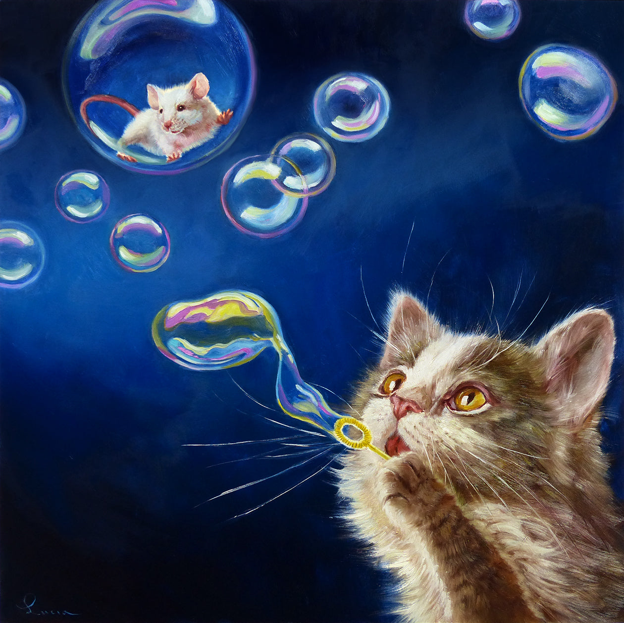 Cool Cool Kitties