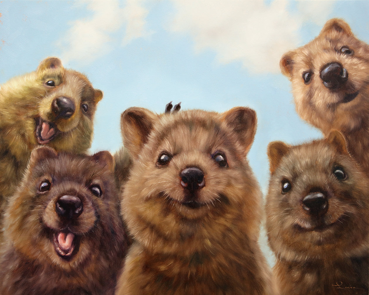 Turtles and Wombats and Seals, Oh My! (And a few others)