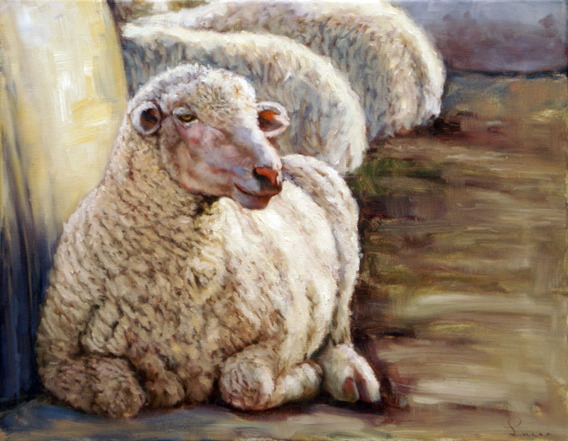 Sheep