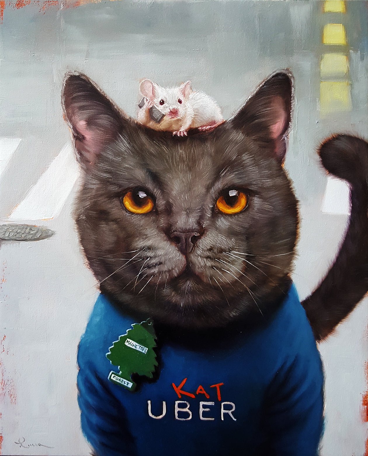 Cool Cool Kitties