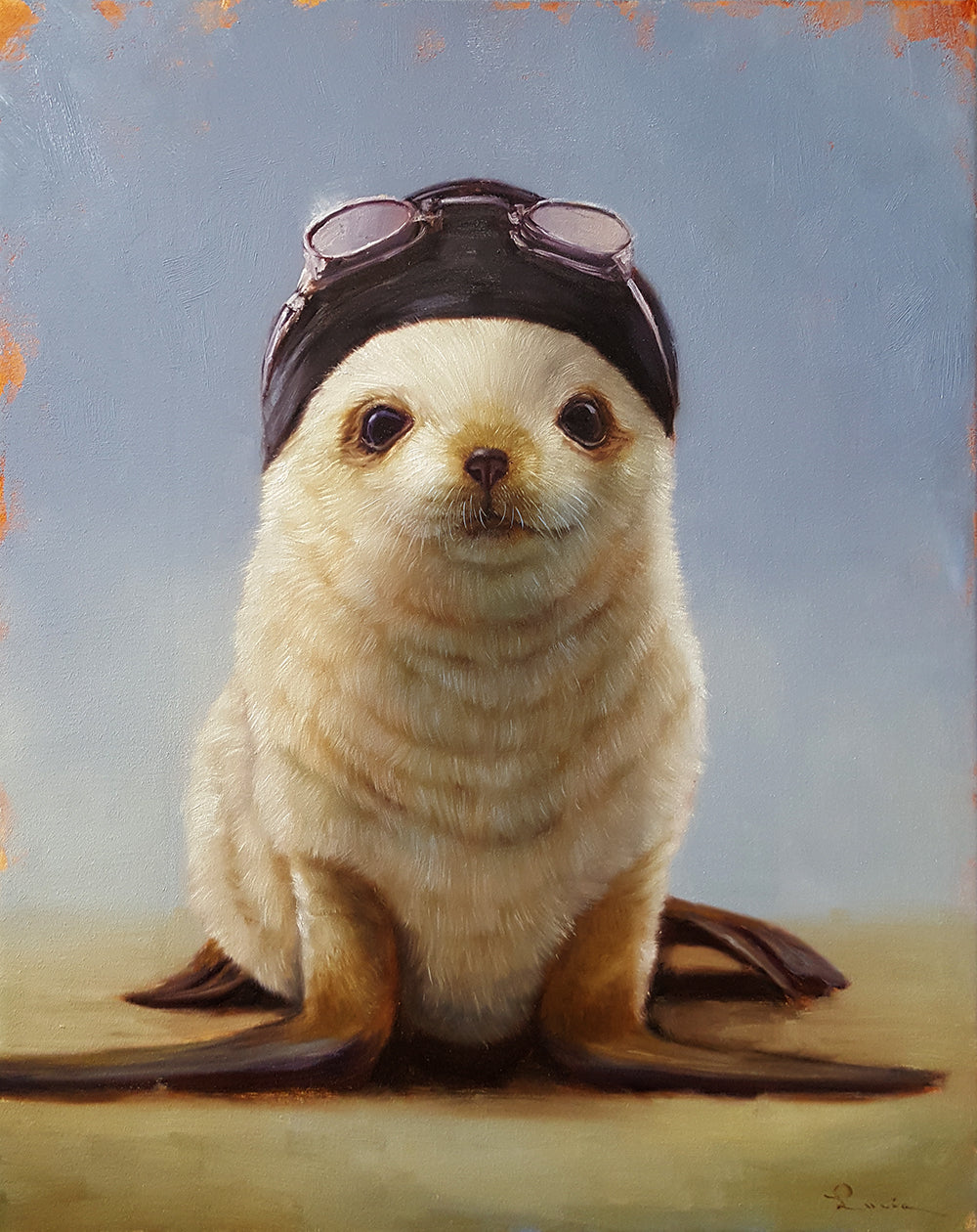 Turtles and Wombats and Seals, Oh My! (And a few others)
