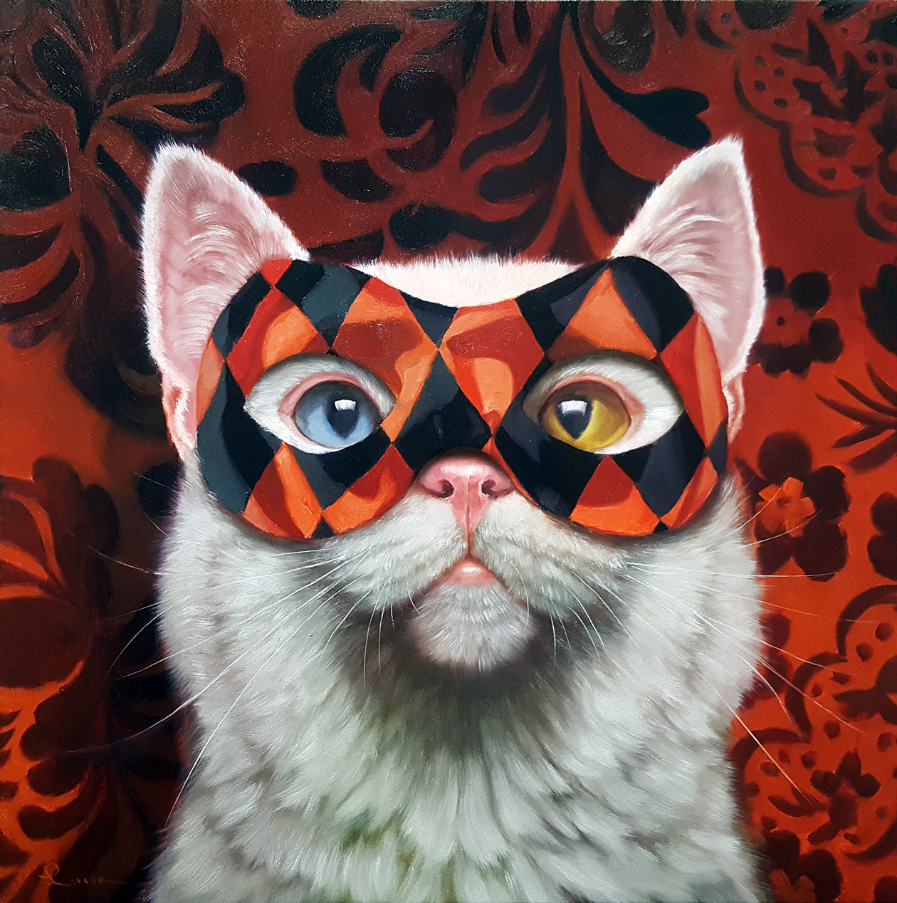 Cool Cool Kitties