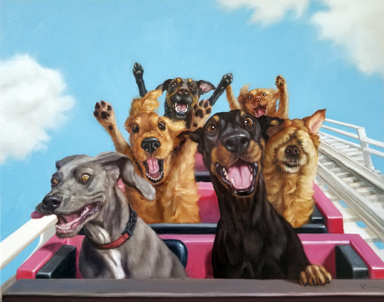 Who Let the Dogs Out?!