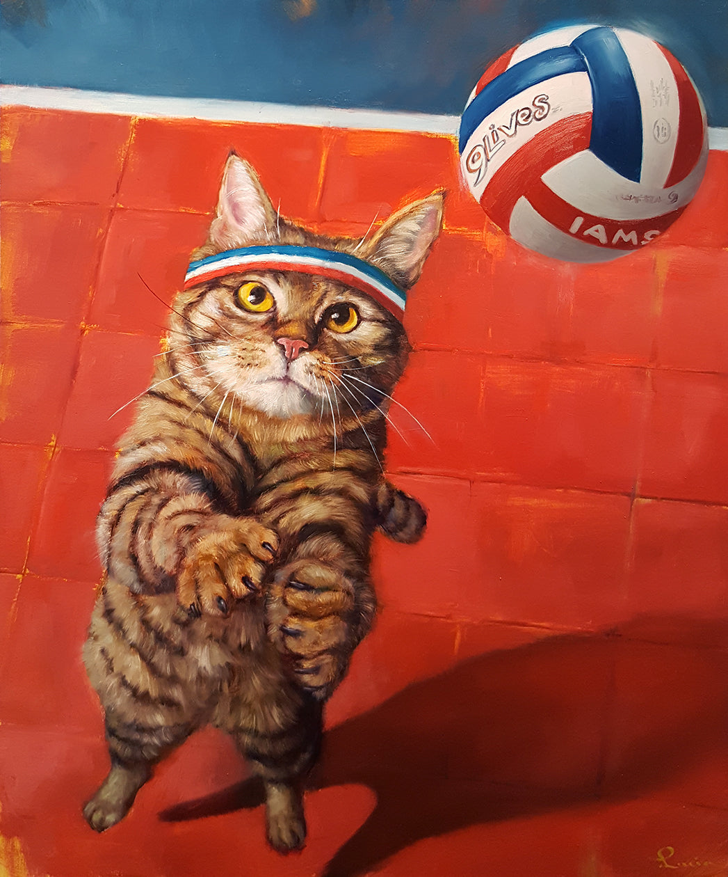 Cool Cool Kitties