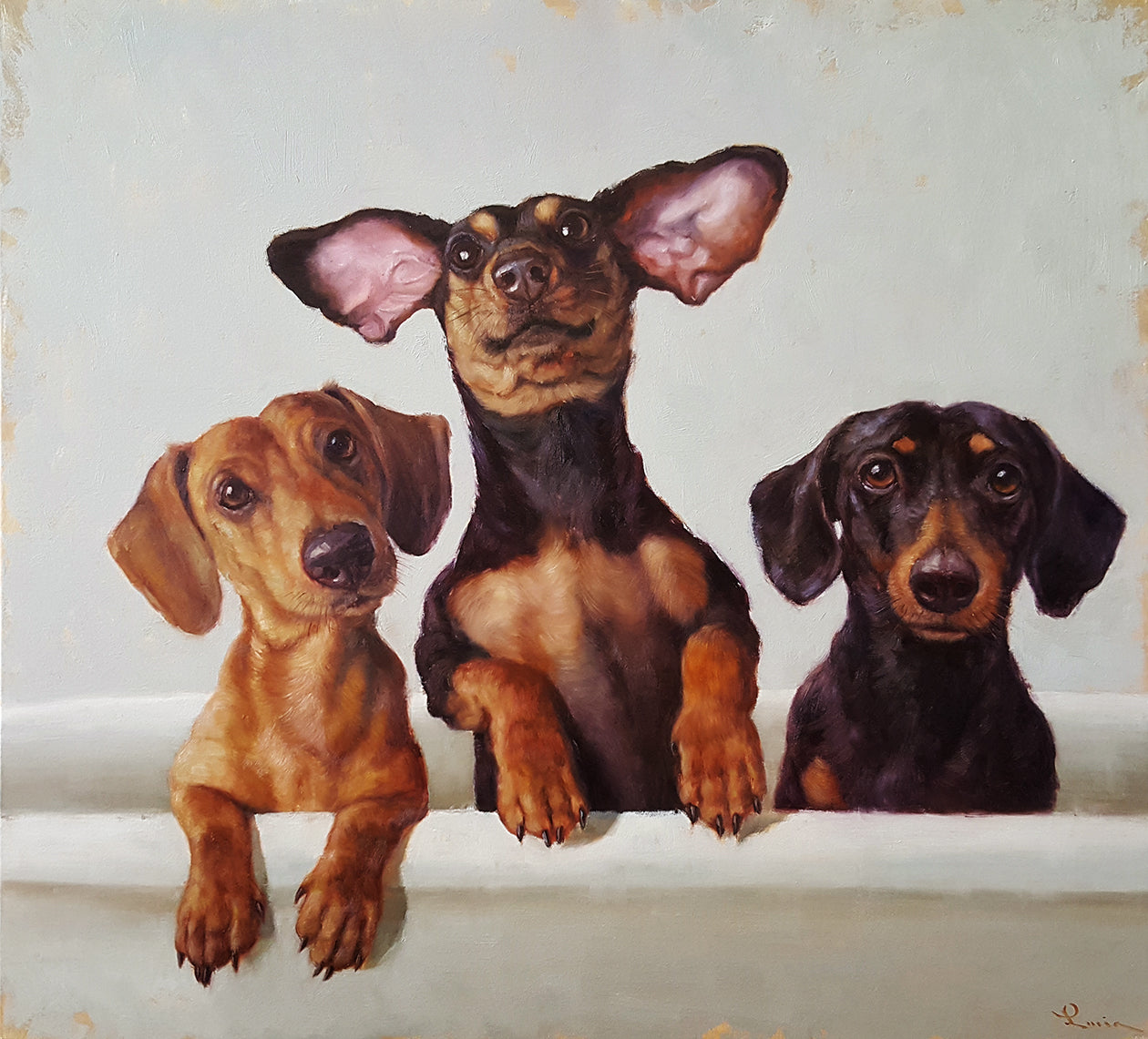 Who Let the Dogs Out?!