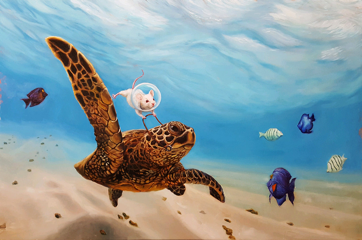 Turtles and Wombats and Seals, Oh My! (And a few others)