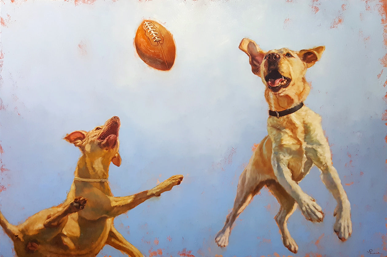 Who Let the Dogs Out?!