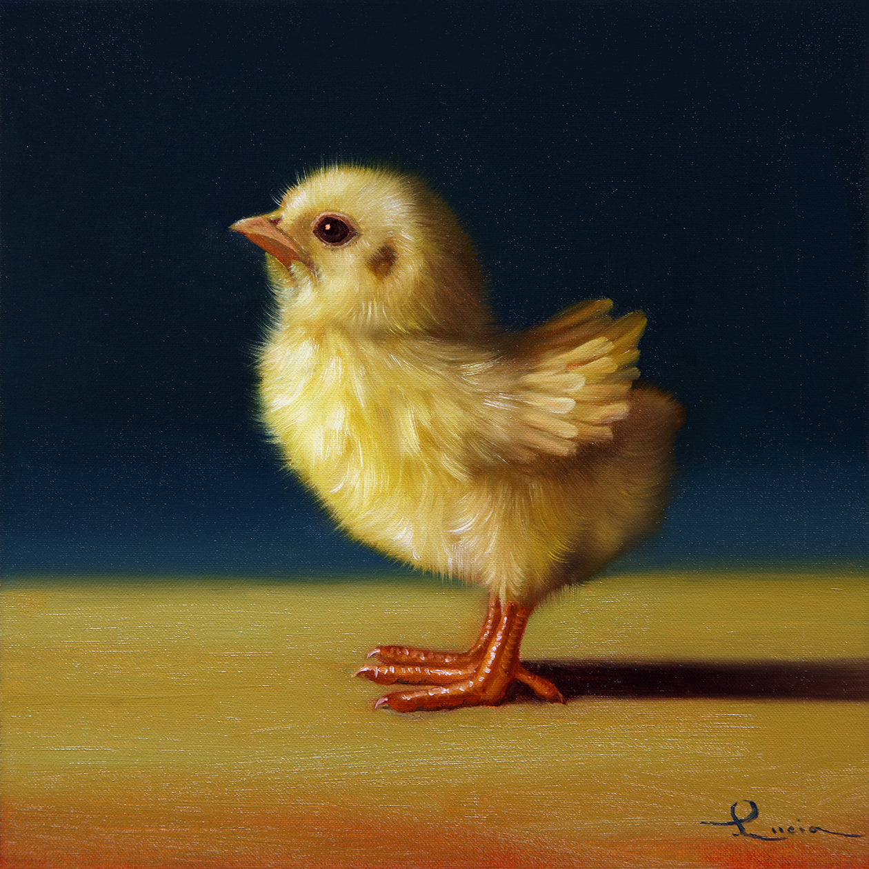 Yoga Chick - Swan Dive