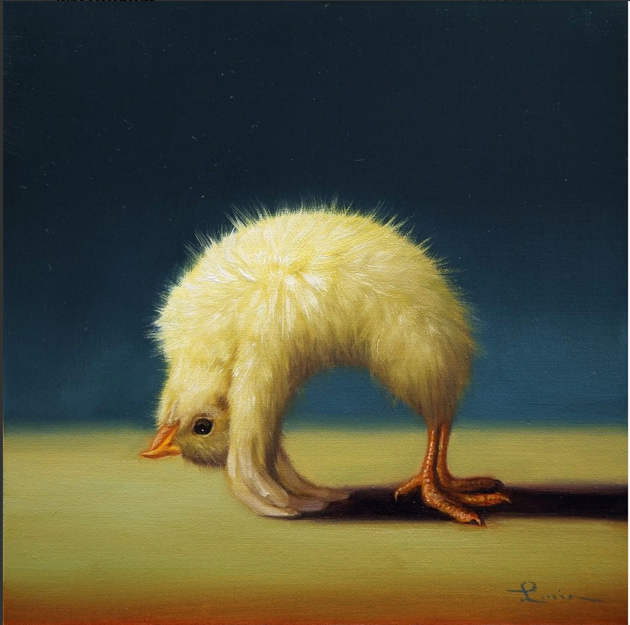 Yoga Chick - Wheel Pose