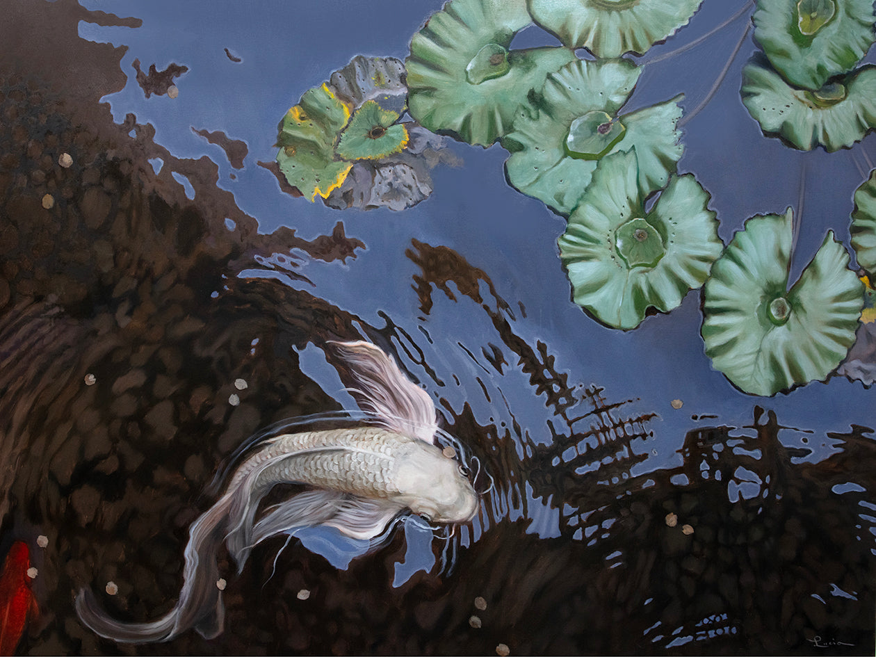 Fish swimming in water with lily pads