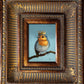 Royal Robin