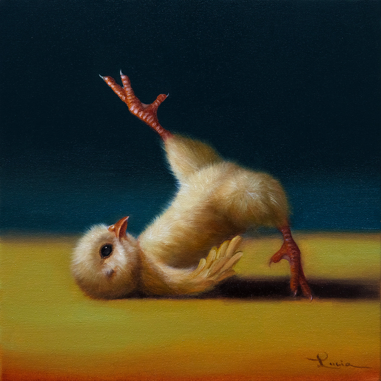 Pilates Chick - Bicycle