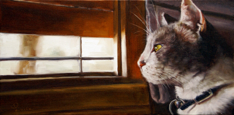 Cat by Window