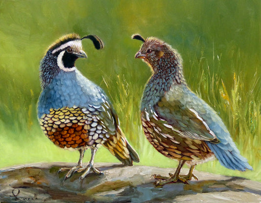 Quail Couple