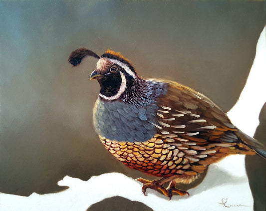 Quail on Branch