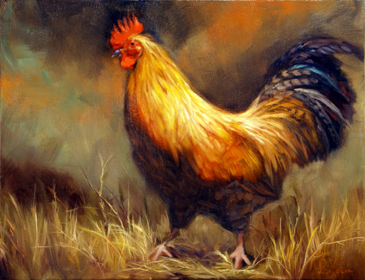 Rooster