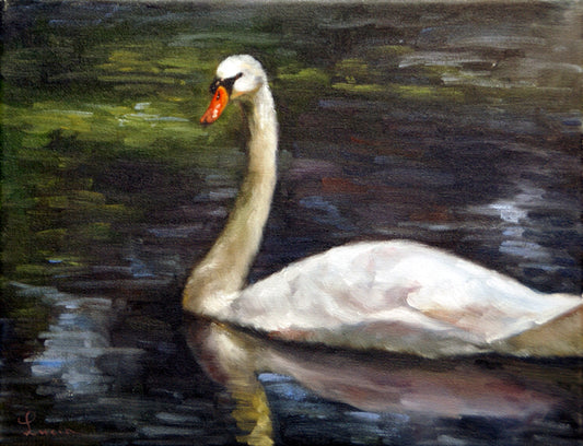 Swan