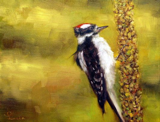 Woodpecker