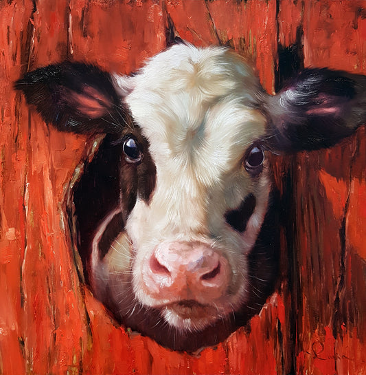 Cow Through Fence