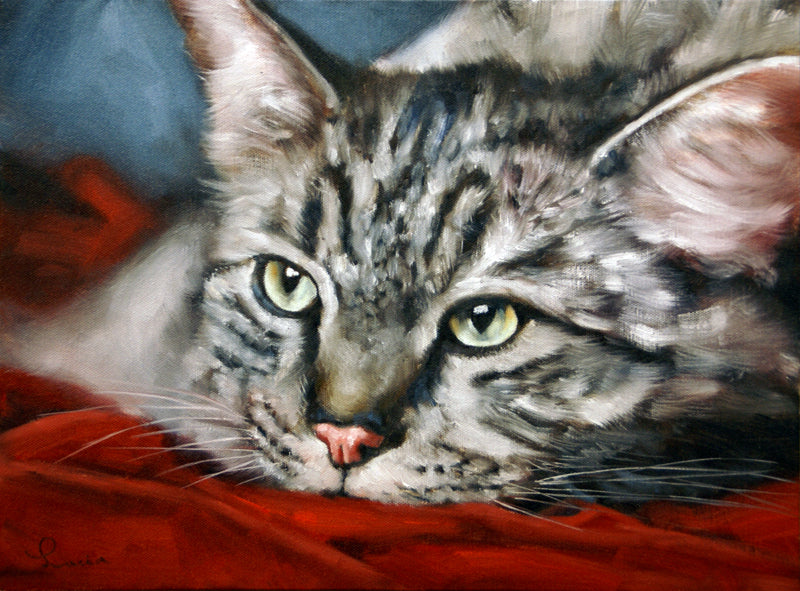 Cat with Red Sheets
