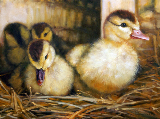 Ducklings