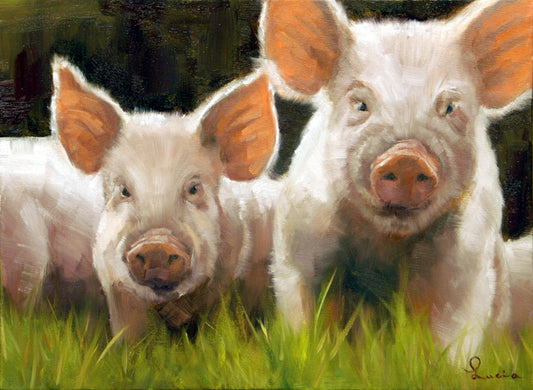 Piglets