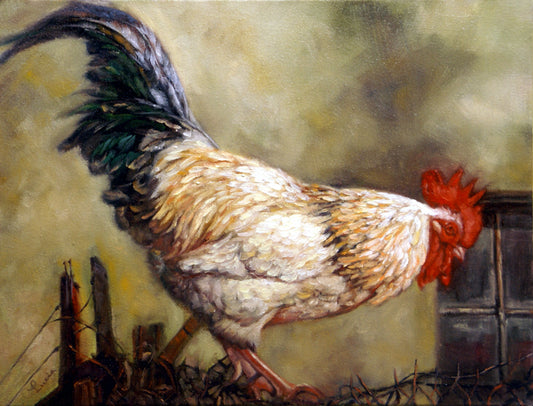 Rooster