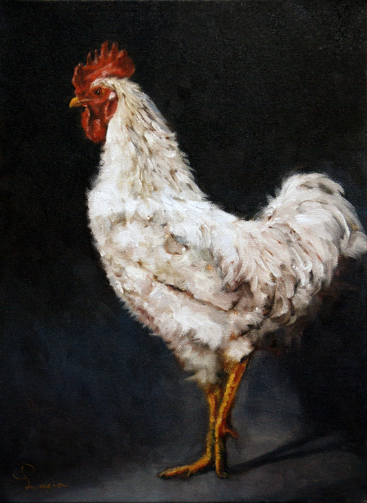 Rooster