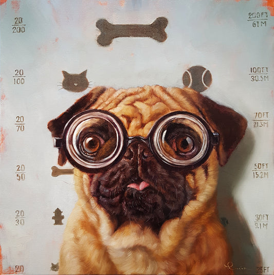 Canine Eye Exam