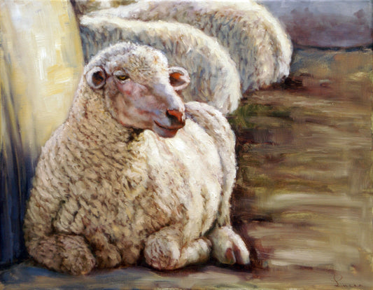 Sheep