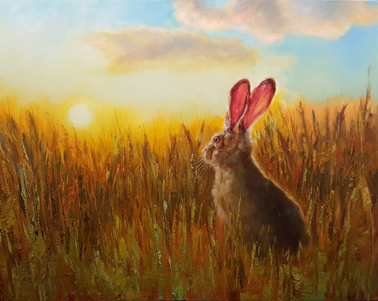 Sunset Hare