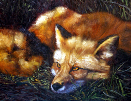 Red-Tailed Fox