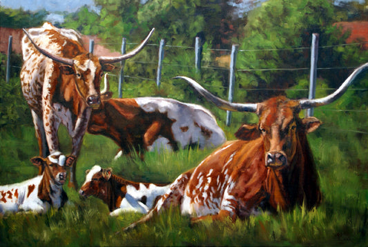 Texas Longhorns