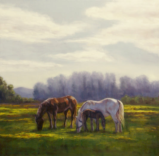 Horses