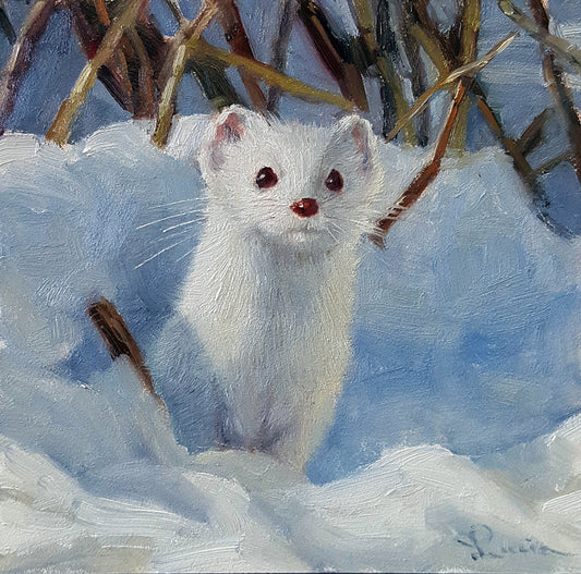 Ermine 2