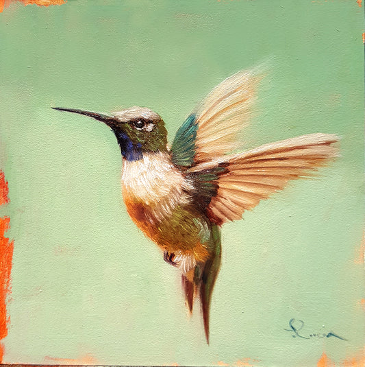 Hummingbird