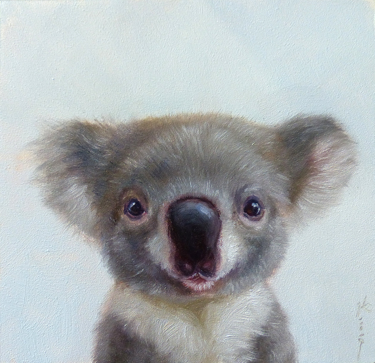 Lil' Koala