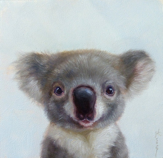 Lil' Koala