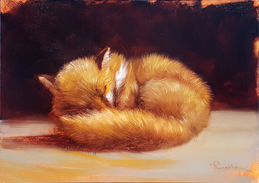 Fox Sleeping