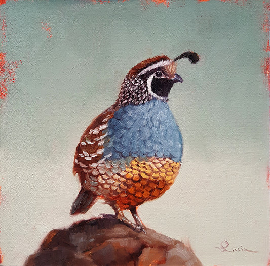 Quail