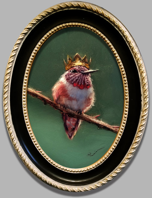 Royal Hummingbird