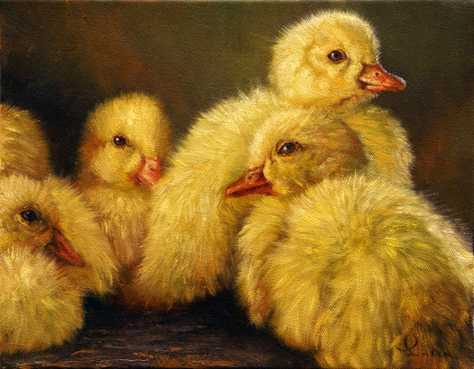 Chicks